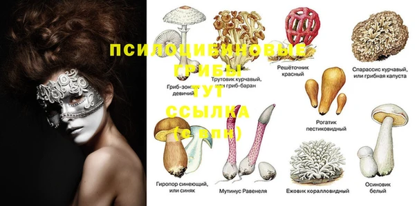 бутират Алзамай
