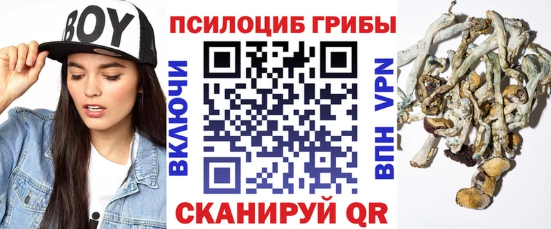 Псилоцибиновые грибы GOLDEN TEACHER Омутнинск
